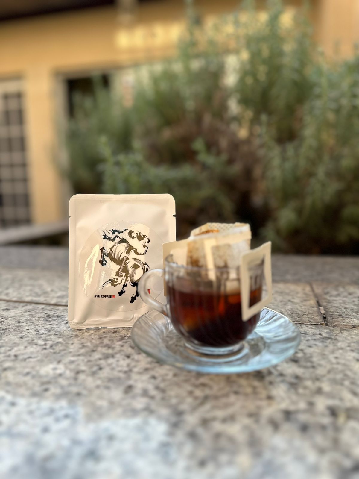 WhatsApp Image 2024-08-13 at 17.40.11